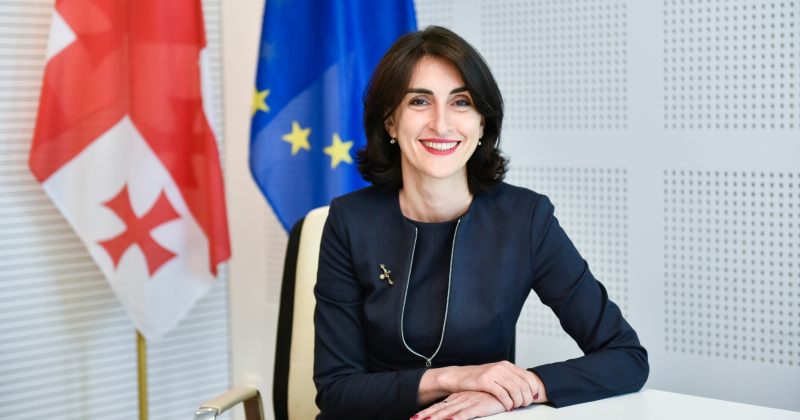 თვალთმაქცობაა "დემოკრატიის უკუსვლაზე" წუხილი, თან რადიკალების წახალისება - ბოჭორიშვილი