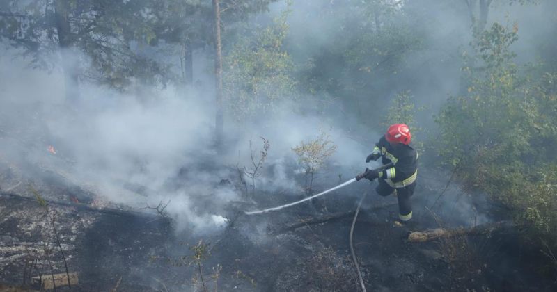 ტყისა და მინდვრის საფარი გამომშრალია, რაც ზრდის ხანძრების რისკს - საგანგებო