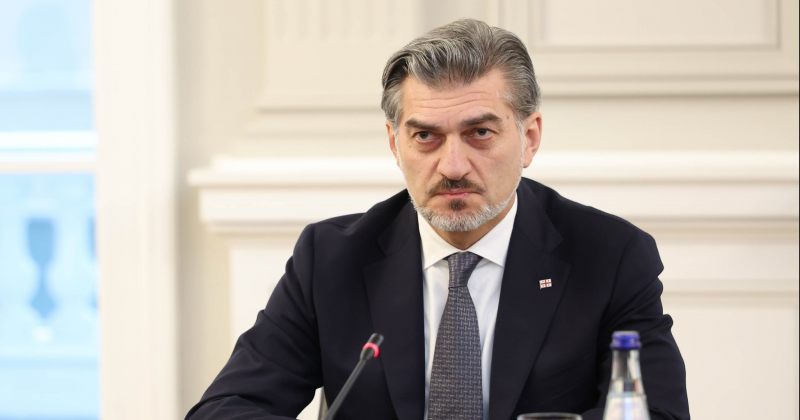 ყაველაშვილი: გვჯერა, საქართველოს და EU-ს პოზიციებს შორის განსხვავებების გადალახვა შეიძლება