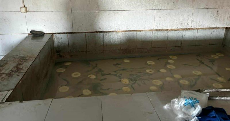 სეს: დედოფლისწყაროში ყველის არარეგისტრირებული საწარმო გამოვავლინეთ