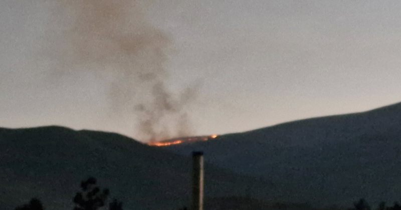 ახალციხეში, სოფელ ანდის მახლობლად ალპურ ზონაში ბალახი იწვის