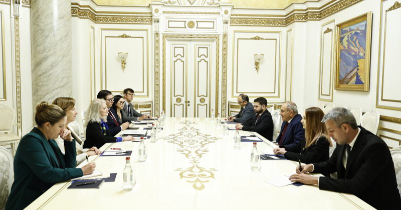 ერევანში აშშ-ს სახელმწიფო მდივნის მოადგილე და ფაშინიანი შეხვდნენ