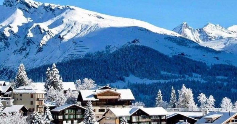 ბინები ბაკურიანში – გზამკვლევი კომფორტული და ხელმისაწვდომი ბინების ასარჩევად (რ)