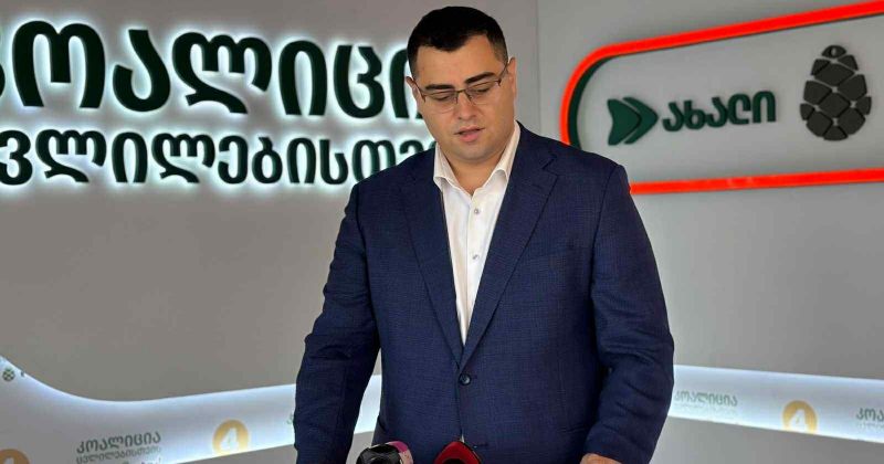 ემიგრანტებისთვის ხმის მიცემის უფლების წართმევა არჩევნებსა და დემოკრატიას კლავს - ლემონჯავა