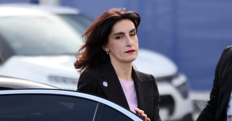 ბოჭორიშვილი: როცა შეხვედრებისთვის მივემგზავრებით ევროკავშირის წევრ ქვეყნებში, ვიღებთ ვიზას