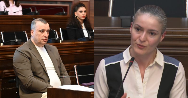 14 წლამდე ბავშვების რეაბილიტაციის ცენტრი – რა ითქვა პირველ საკომიტეტო განხილვებზე