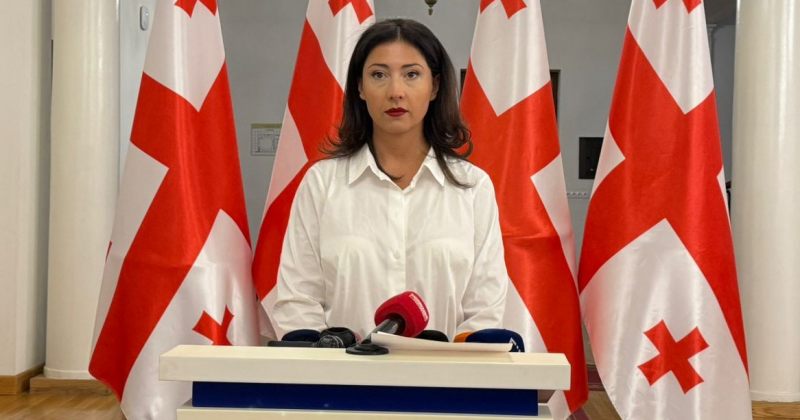 ხვედელიანი: განათლების სამინისტროს უწყებებიდან 60-მდე თანამშრომელი გაათავისუფლეს