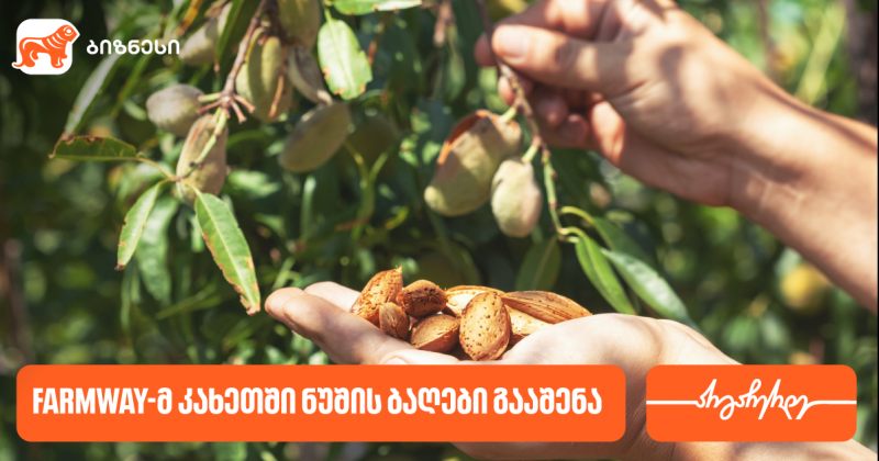 კომპანია Farmway-მ კახეთში ნუშის ბაღები გააშენა - მხარდამჭერი საქართველოს ბანკია (რ)