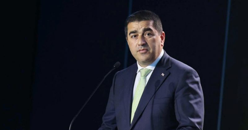 პაპუაშვილი: NATO-ს ღია კარი ემსგავსება სახედრის წინ ჩამოკიდებულ სტაფილოს