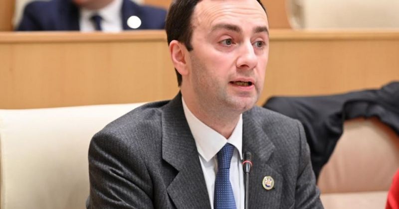 ღიმილისმომგვრელია ეს გადაწყვეტილება - მახაშვილი იმედისა და POSTV-ის დასანქცირებაზე