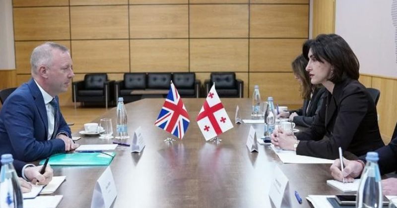 ბოჭორიშვილმა ელჩს უთხრა, რომ არხების დასანქცირება მედიის თავისუფლებაზე შეტევაა - საგარეო