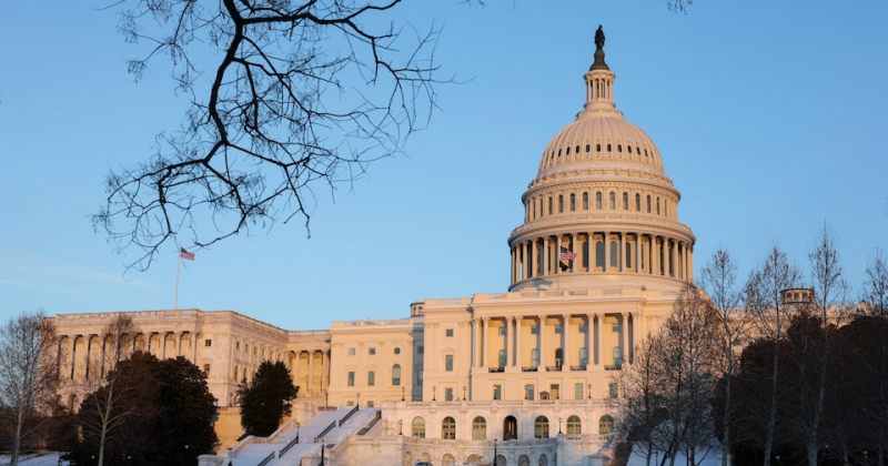 ტეხასში კონგრესისა და შტატის სენატის რიგგარეშე არჩევნებში დემოკრატმა კანდიდატებმა მოიგეს