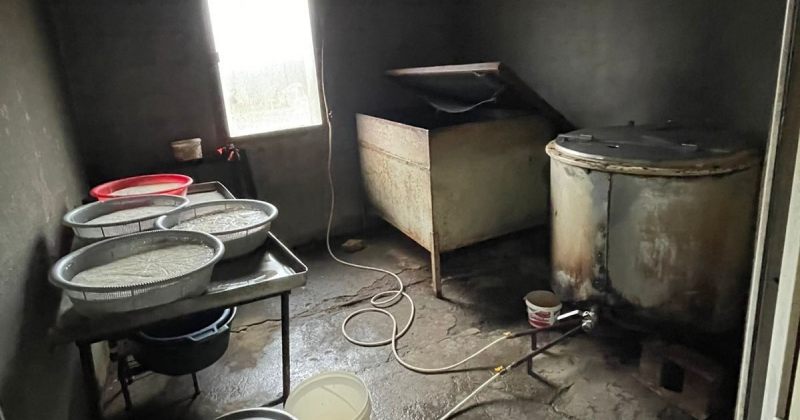 ქვემო ქართლში ყველის 4 არალეგალური საწარმო გამოვავლინეთ - სეს