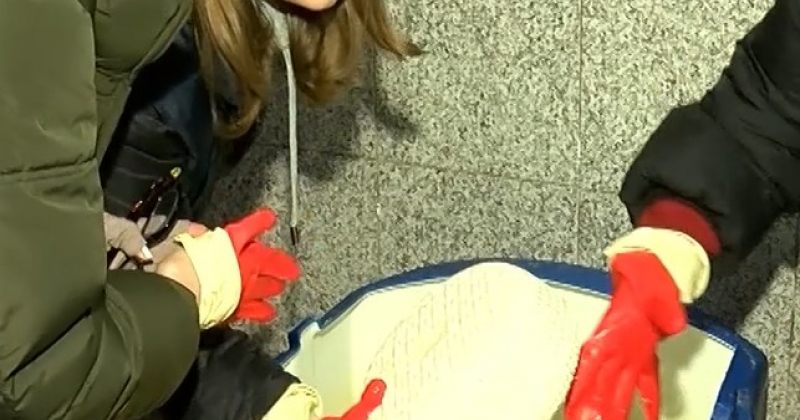 ქუთაისში ყველის კუსტარული საწარმო გამოვავლინეთ - სურსათის ეროვნული სააგენტო 