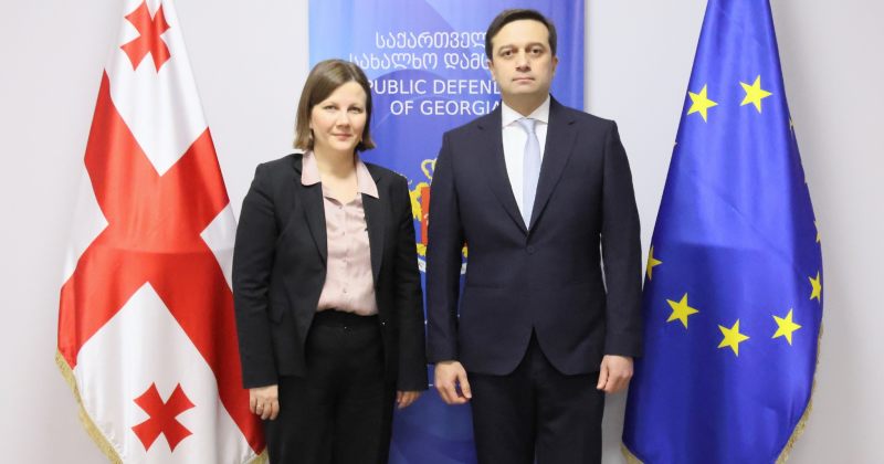 ლევან იოსელიანი „მოსკოვის მექანიზმის" ფარგლებში დანიშნულ მომხსენებელს შეხვდა