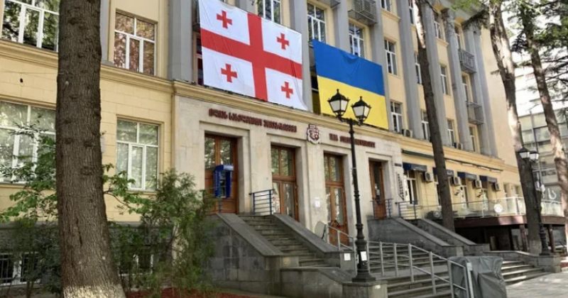 როდესაც უნივერსიტეტებს ასე დაუნდობლად ჩეხავენ, უმოქმედოდ ვერ ვიქნებით - ილიაუნი 