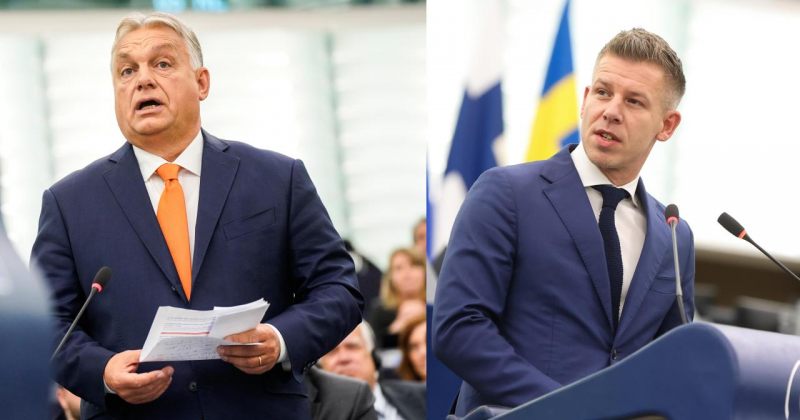 გამოკითხვის მიხედვით, ორბანის Fidesz-ს 31% მხარდაჭერა აქვს, ოპოზიციურ Tisza-ს - 42%