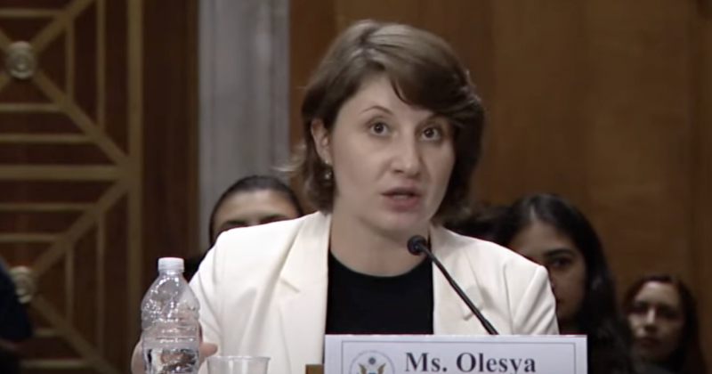 ოლესია ვართანიანი: არასტაბილურობა გაგრძელდება, თუ ოცნება სამართლიან პროცესში არ ჩაერთვება