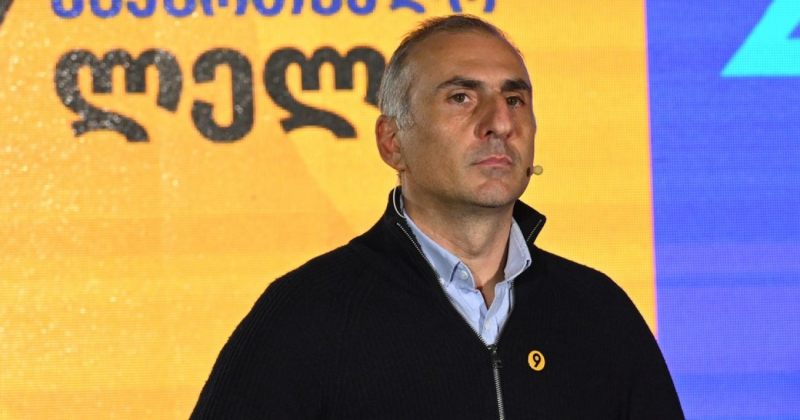 მოვუწოდებ ყველას, არ განმიხილოთ პოლიტიკური პატიმრების არანაირ სიაში - ელისაშვილი