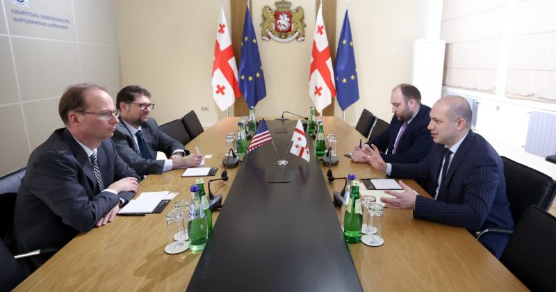 პარტნიორობის პერსპექტივები დავსახეთ – მიქანაძე აშშ-ის ელჩის მოვალეობის შემსრულებელს შეხვდა