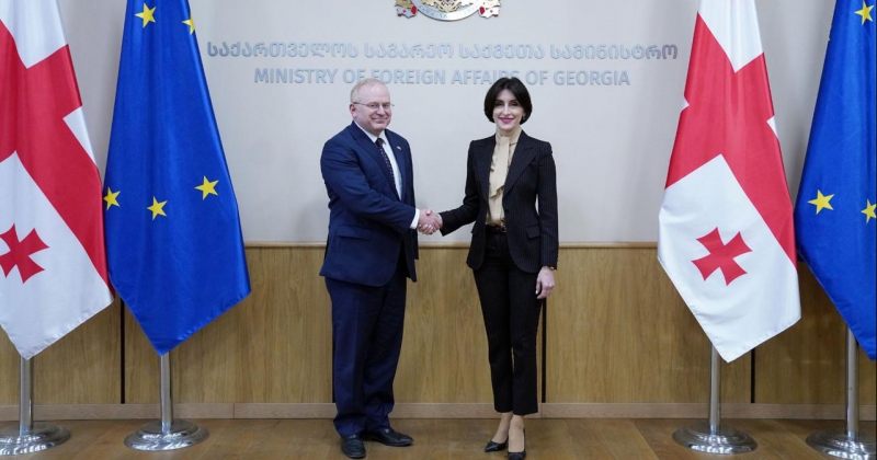 ბოჭორიშვილი აშშ-ს სახდეპის წარმომადგენელს შეხვდა – საგარეო