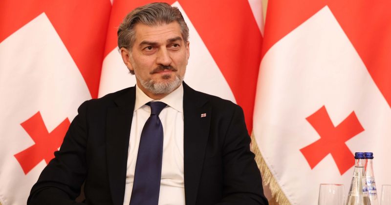 ყაველაშვილი: ევროპული ბიუროკრატია ჩვენთან მიმართებაში შეცდომებს ხშირად უშვებს