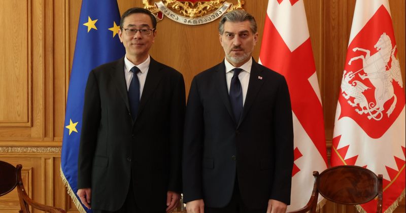 მიხეილ ყაველაშვილი საქართველოში ჩინეთის ელჩს შეხვდა