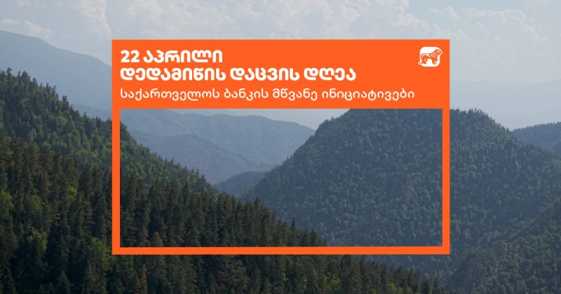 საქართველოს ბანკი დედამიწის დღეს მწვანე ინიციატივებს აჯამებს (რ)