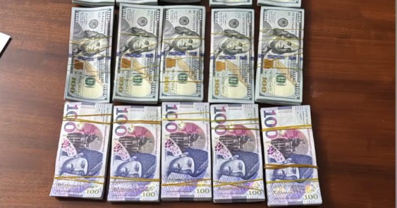 თანხის სანაცვლოდ, სავალდებულო სამხედრო სამსახურის არიდებაში ეხმარებოდა - 1 პირი დააკავეს 