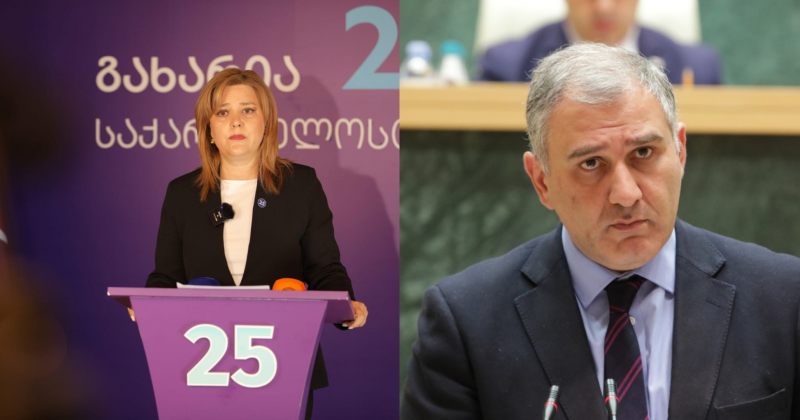 გახარიას პარტია დიუშენის მქონე ბავშვების საკითხზე სარჯველაძეს პარლამენტში იბარებს