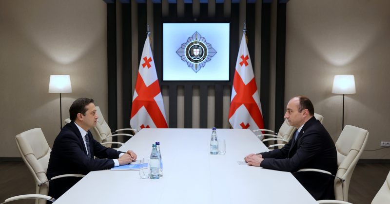 განიხილეს ადამიანის უფლებებისა და უსაფრთხოების საკითხები - გელაძე იოსელიანს შეხვდა