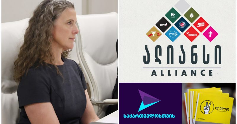 ოპოზიციის წარმომადგენლები აშშ-ს სახელმწიფო მდივნის თანაშემწის მოადგილეს შეხვდნენ