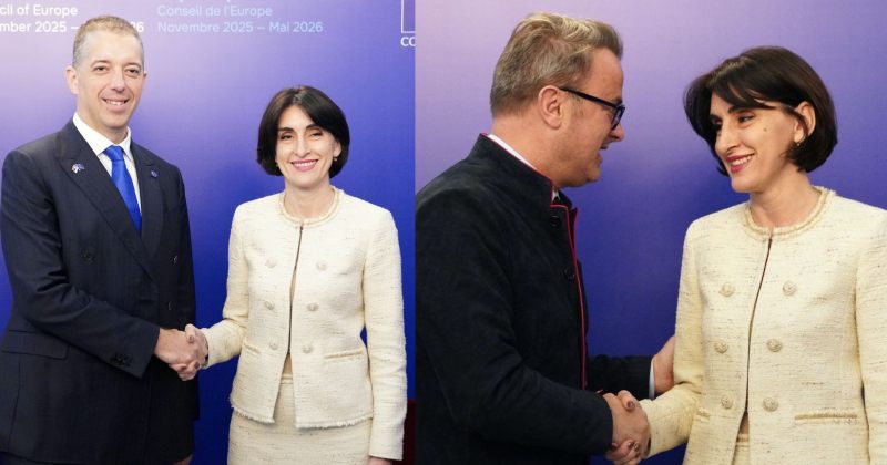 ბოჭორიშვილი სერბეთის საგარეო მინისტრს და ლუქსემბურგის ვიცეპრემიერს შეხვდა