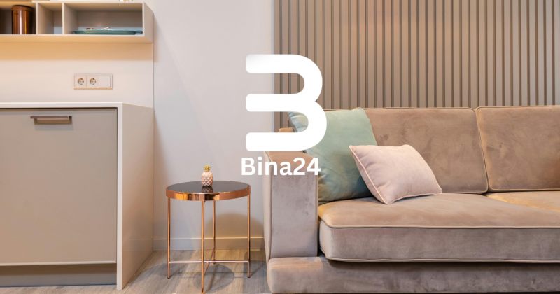 ბინები დღიურად საქართველოში: Bina24-ის როლი უძრავი ქონების მოკლევადიან გაქირავებაში (რ)