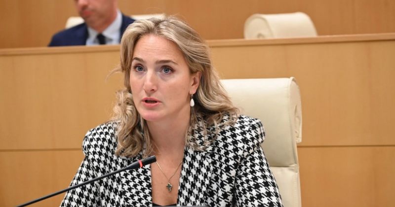 ლაშხი იმედზე: ევროპარლამენტი დღეს გახდა მედიაზე თავდასხმის ინსტრუმენტი