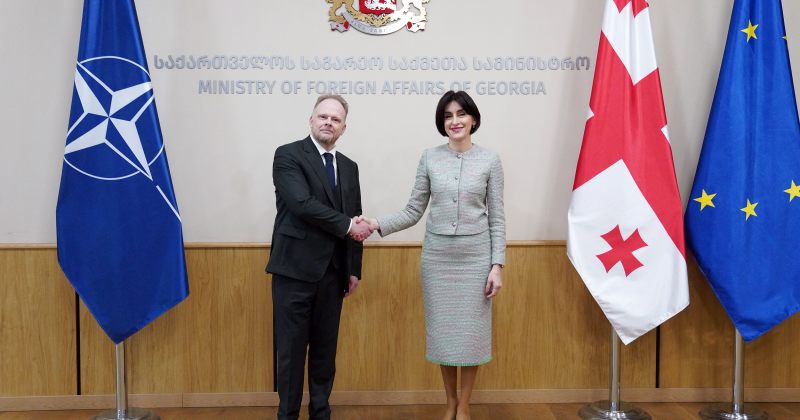 ბოჭორიშვილი NATO-ს გენერალური მდივნის წარმომადგენელს, ელჩ კევინ ჰამილტონს შეხვდა