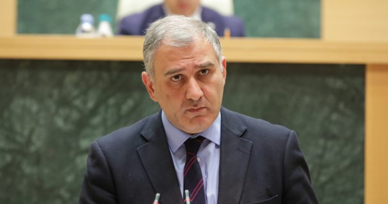 არ არის აუცილებლობა საპროტესტო აქციების წარმართვის - სარჯველაძე დიუშენზე 