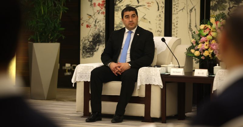 დიდი სურვილი გვაქვს განათლების სფეროში ჩინეთთან თანამშრომლობის – პაპუაშვილი