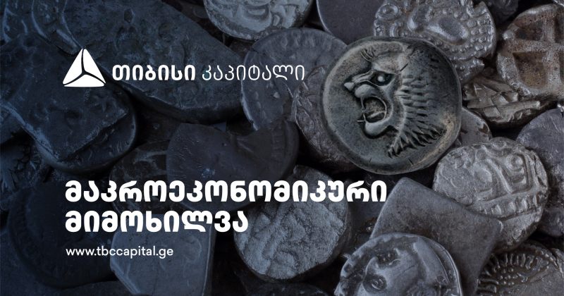 TBC კაპიტალმა სასესხო პორტფელის სავალუტო სტრუქტურაზე რეკომენდაციები გამოაქვეყნა (რ)