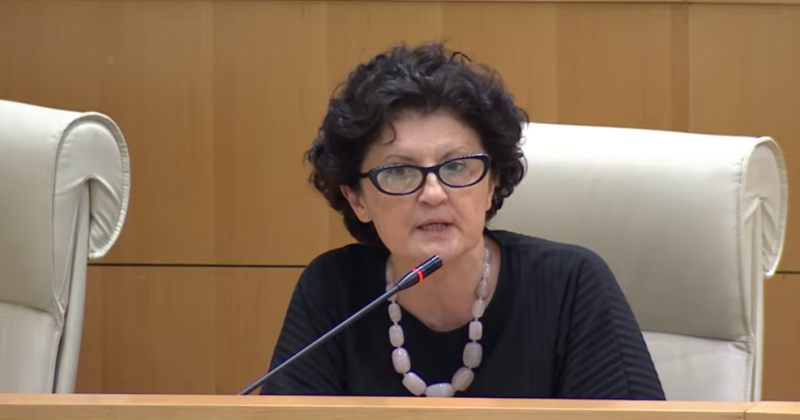 წულუკიანი გორზე: ამ საზარელმა კადრებმა დაგვიდასტურა, რომ მტერი მეტი გვყავს, ვიდრე გვეგონა