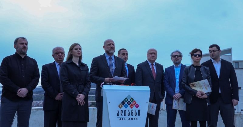 ალიანსი: რეჟიმმა უნდა იცოდეს, რომ ელენეს ჯანმრთელობის დაზიანებისთვის მოუწევთ პასუხისგება