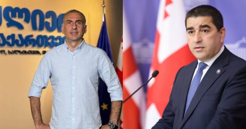 ელისაშვილი პატივისა და ღირსების შელახვისთვის პაპუაშვილს სასამართლოში უჩივის