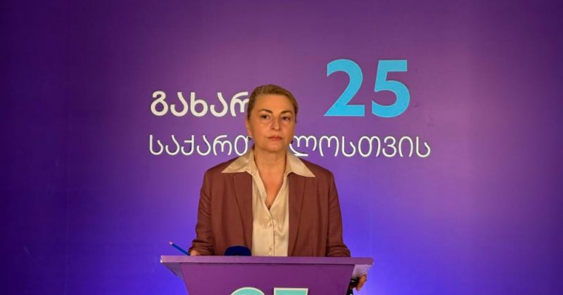 ხორგუანი: მივმართავ თავდაცვის და უსაფრთხოების კომიტეტს, სასწრაფოდ მოიწვიონ კომიტეტის სხდომა