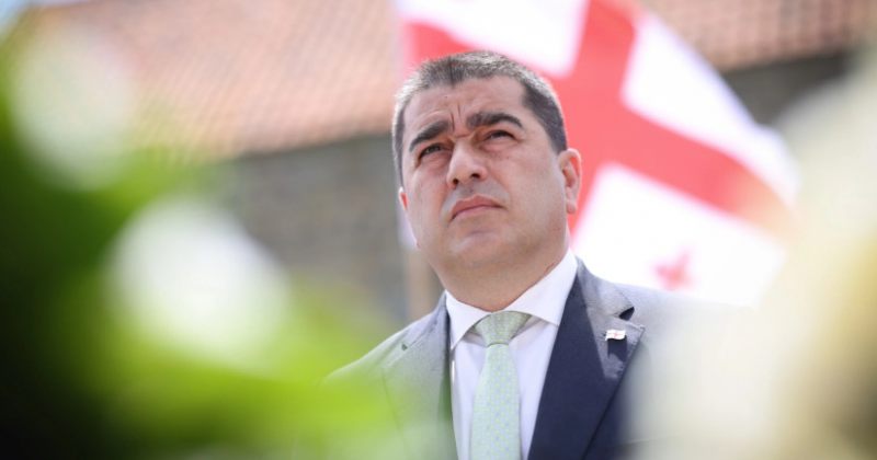 სამწუხაროდ, ჩვენ გვყავს საქართველოს განვითარების მტრები ევროპაში - პაპუაშვილი