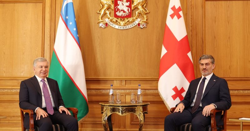 "მიმოიხილეს ორმხრივი ურთიერთობების დღის წესრიგი" - ყაველაშვილი უზბეკეთის პრეზიდენტს შეხვდა