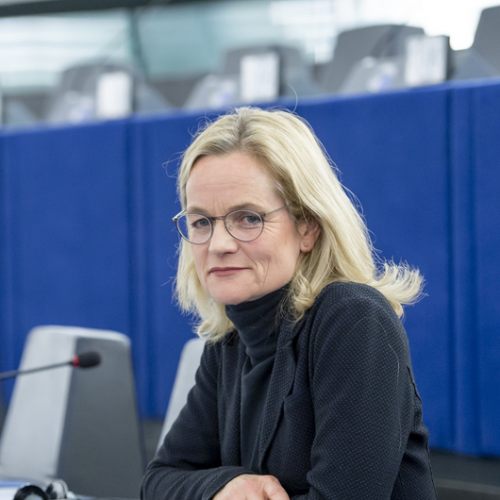 Виола фон Крамон. Европарламент требует санкции против Иванишвили