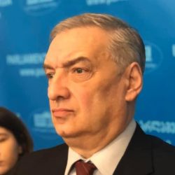ვოლსკი ეუთოზე: ამ რეზოლუციით წერტილი დაუსვა საკუთარი სადამკვირვებლო მისიის ავტორიტეტს