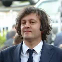 კობახიძე: არაერთხელ ვიყავი საოკუპაციო ხაზთან კამერების გარეშე