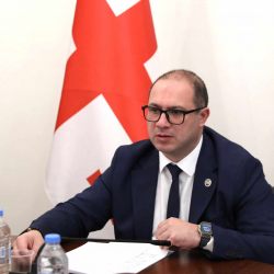 მიქანაძე: უმრავლესობა ბაკალავრის ევროპულ უნივერსიტეტებში სწავლაზე არაა ორიენტირებული