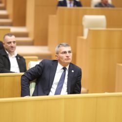 მდინარაძე: შევიძინეთ უპილოტო საფრენი აპარატების საწინააღმდეგო სისტემა
